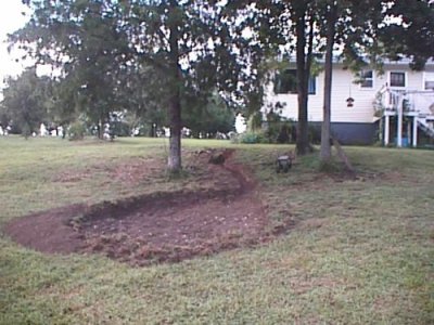 The start of the dig